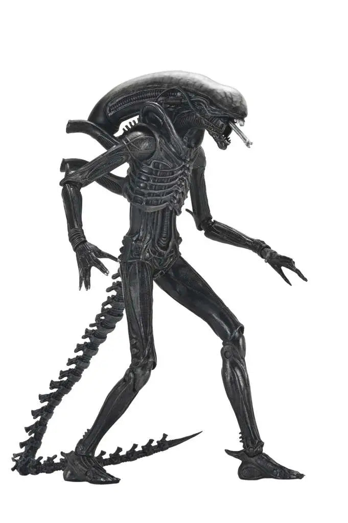 Alien: Romulus – Ultimate Xenomorph XX121 Actionfigur – NECA