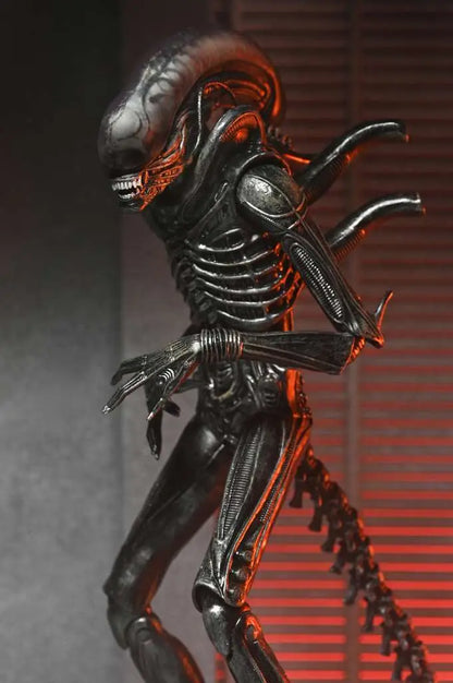 Alien: Romulus – Ultimate Xenomorph XX121 Actionfigur – NECA