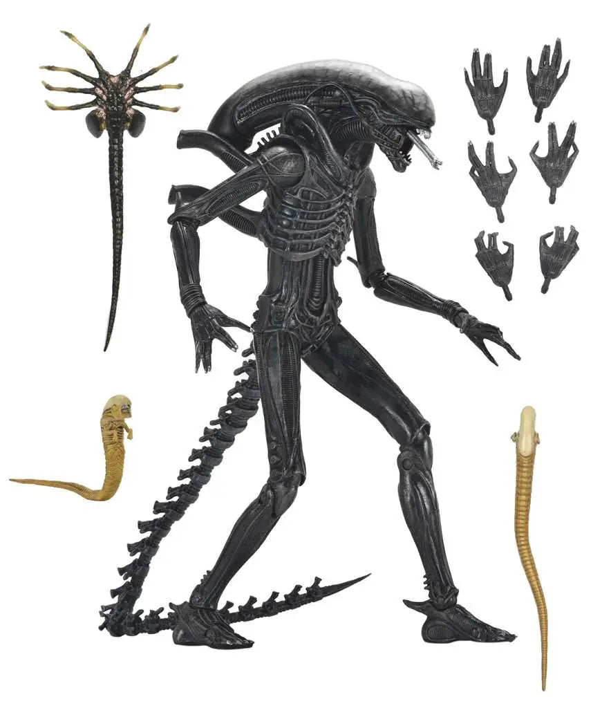 Alien: Romulus – Ultimate Xenomorph XX121 Actionfigur – NECA