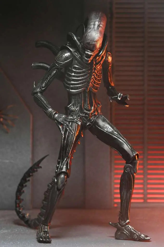 Alien: Romulus – Ultimate Xenomorph XX121 Actionfigur – NECA