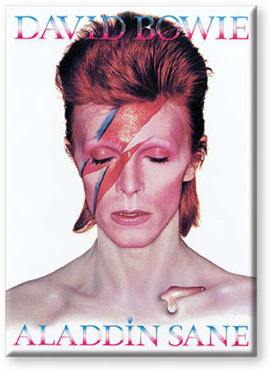 Bowie Aladdin Sane Flat Magnet Schild Aquarius Ent